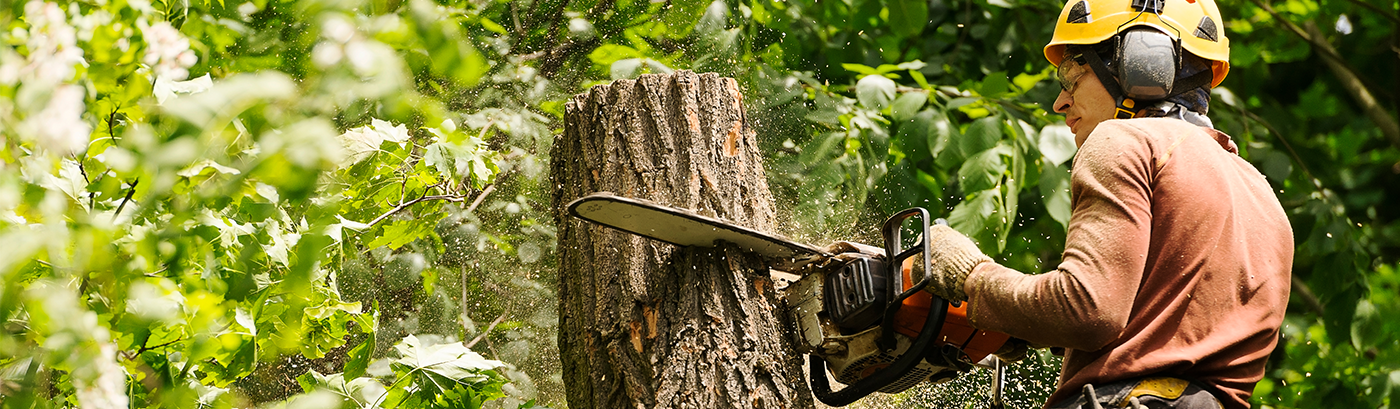 Arborist business software and tree service software – Banner Image